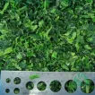 Frozen Spinach Cuts