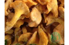 How to Make Mushroom Haters Eat Mushrooms Happily?