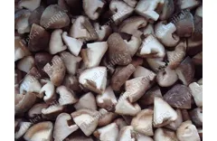 How Long Can Mushrooms Last before They Go Bad?