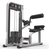 D1-010 Abdominal And Back Trainer