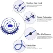 Portable Travel Elastic Travel Camping Retractable Clothesline with 12Pcs Clips for use(Blue))