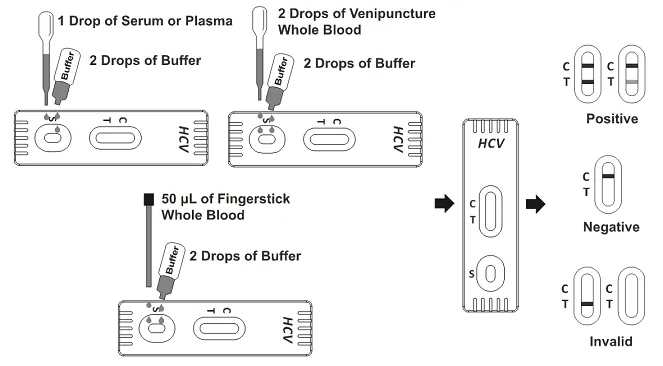 HCV Rapid test Cassette WSP Procedure.png
