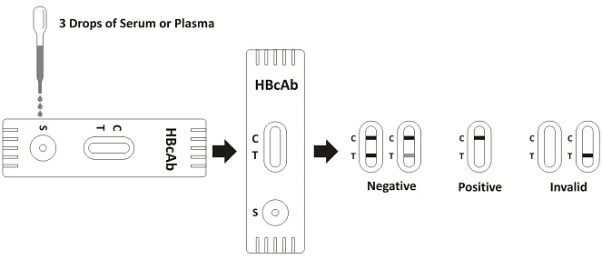 HBcAb Rapid Test Cassette Procedure.png