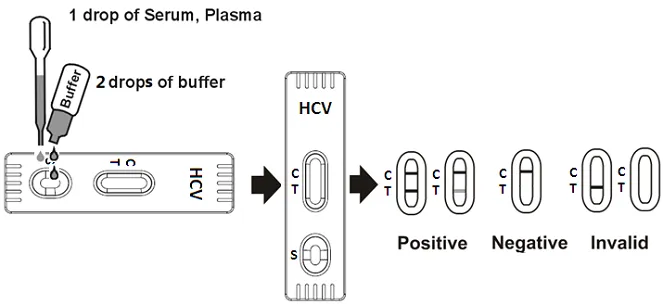 HCV Rapid Test Cassette Procedure SP.png