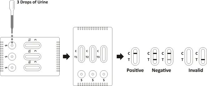 Multi-Drug Urine Cassette 1 Procedure.png