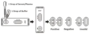 HIV 12(SP) 1.JPG