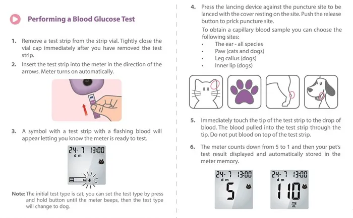 Blood Glucose Meter, Strip, Lancet.jpg