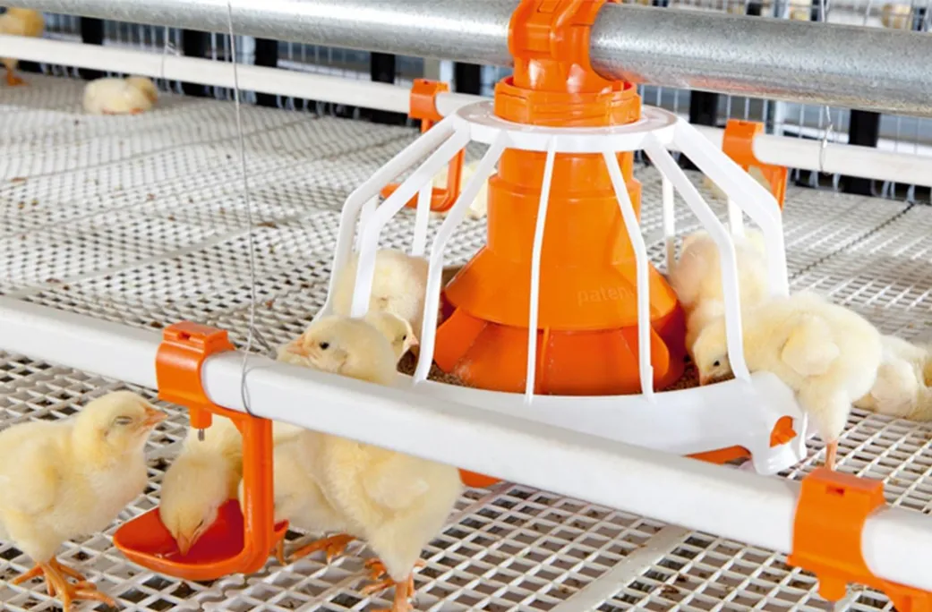 Poultry Cage Equipment