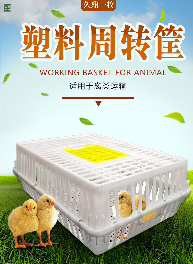 Livestock Equipment