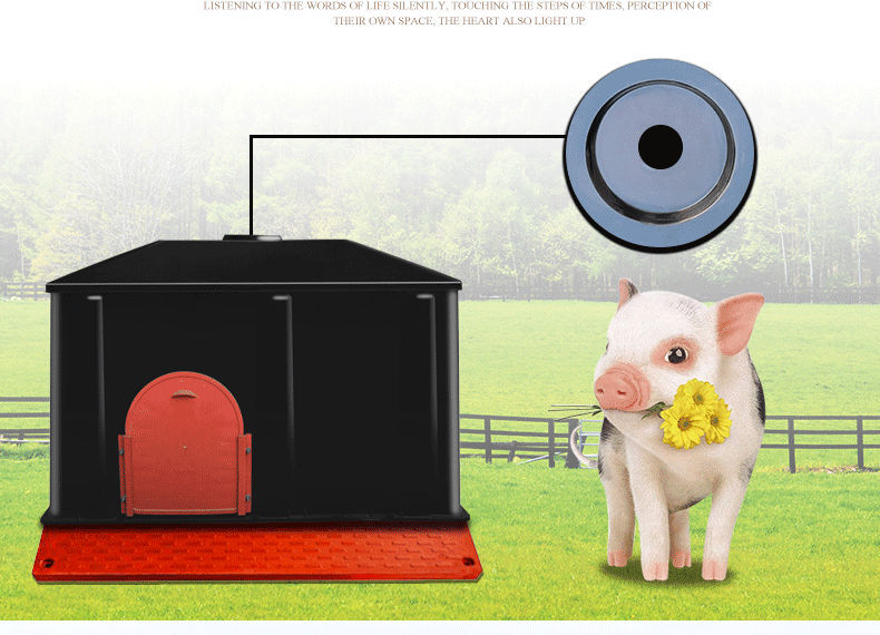 Piglet incubator cooler box