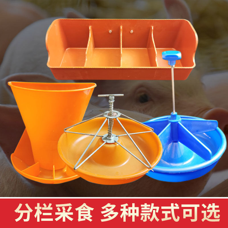 Pig raising ，equipment Pig feeding trough ，Poultry equipment