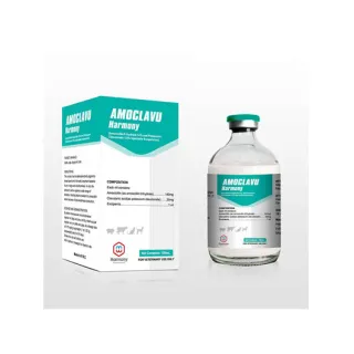 When used correctly under veterinary guidance, amoxicillin is a safe drug for use in cats.