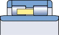 Double row cylindrical roller bearing.jpg