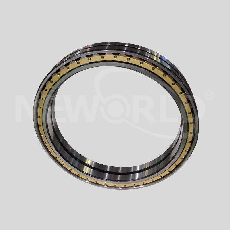 Double row cylindrical roller bearings