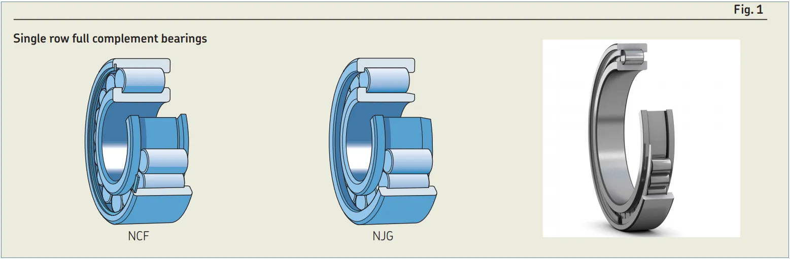 Sealed full complement cylindrical roller bearings.jpg