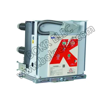 BKV3(VS1)-12KV vacuum circuit breaker