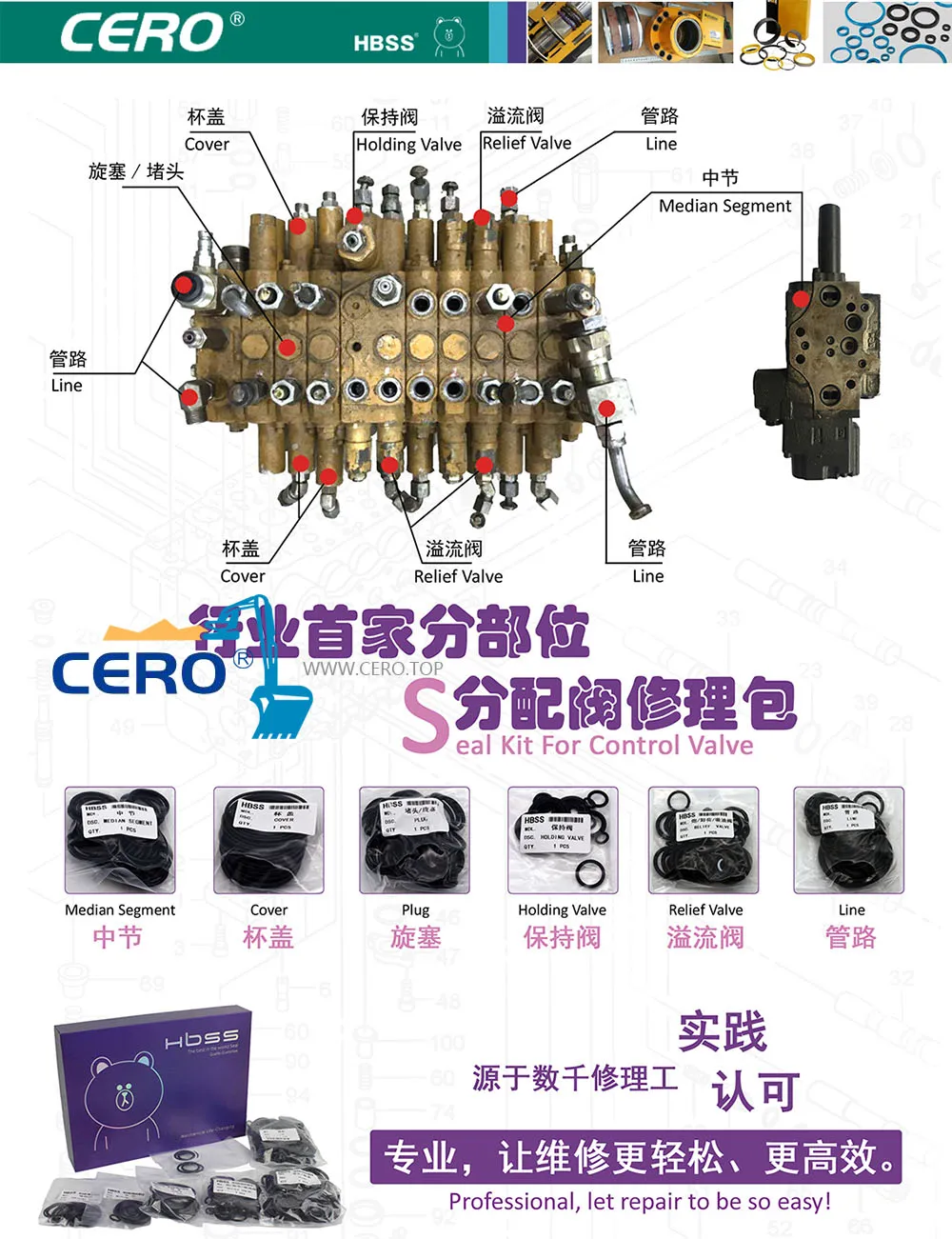 Professional Control Valve Seal Kit