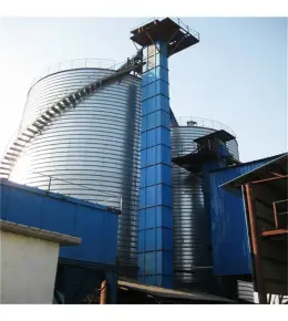 Ascenseur vertical de seau de type de ceinture de TZ pour le moulin à farine / ciment / sable