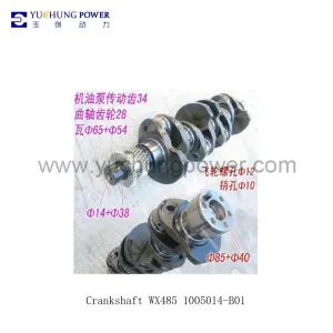 Crankshaft WX485 1005014-B01