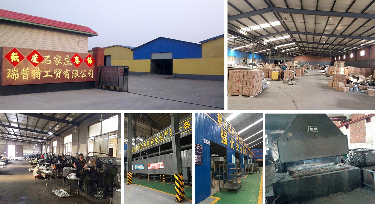Shijiazhuang Reputation Industrial & Trading Co., Ltd.