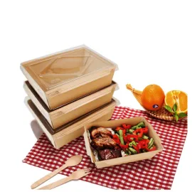 Disposable Kraft Take Out Pasta Salad Containers Boxes