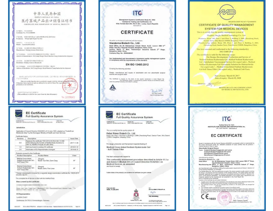 Certificate of Vianderma Biotech