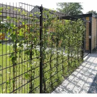 Double Wire Mesh Fencing