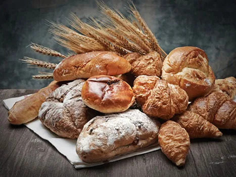 Bread bakery equipment