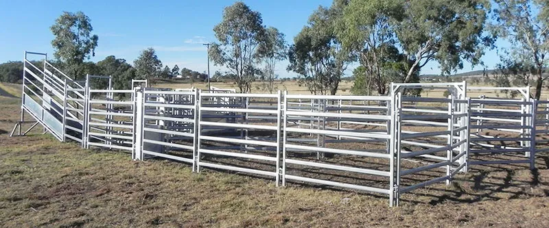 Cattle Fence