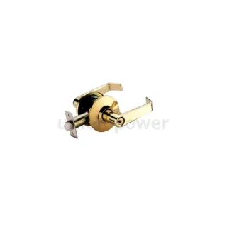 Cylindircal lever lockset 5571PB3