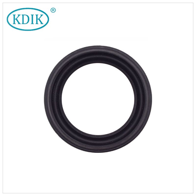 MB308966,Hub Oil Seal