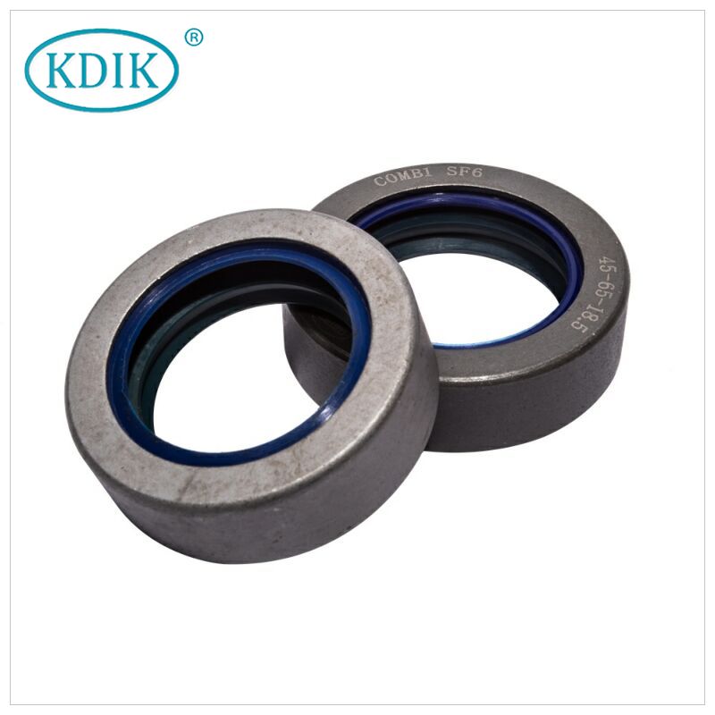 COMBI CASSETTE Oil Seal 46*65*21 / N3282135 for NEW HOLLAND ...