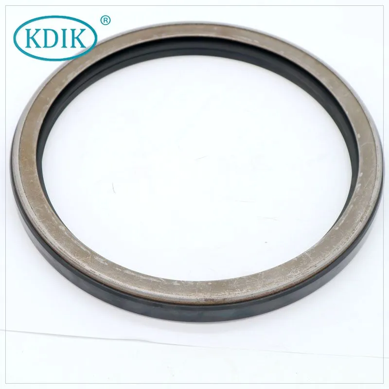 High Pressure Oil Seal TCN Shaft Seal NBR Double Lips Oil Seal TCN AP4713G 160*190*16 for Hydraulic Pump