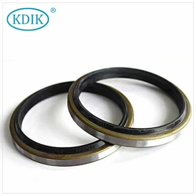 DKB 19*31*6/9 Oil Seal Dust Wiper SEAL hydraulic cylinder for Forklift Excavator Construction Machines 
