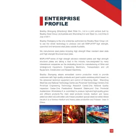 Enterprise profile