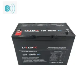 12V 120Ah LifePO4 Battery, Bluetooth App Monitor, Smart Lithium Battery  Series