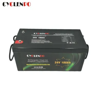 Lithium iron Phosphate Battery 24V 100Ah With BMS