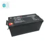 Pacco batteria al litio LiFePO4 12V 250Ah per monitoraggio Bluetooth