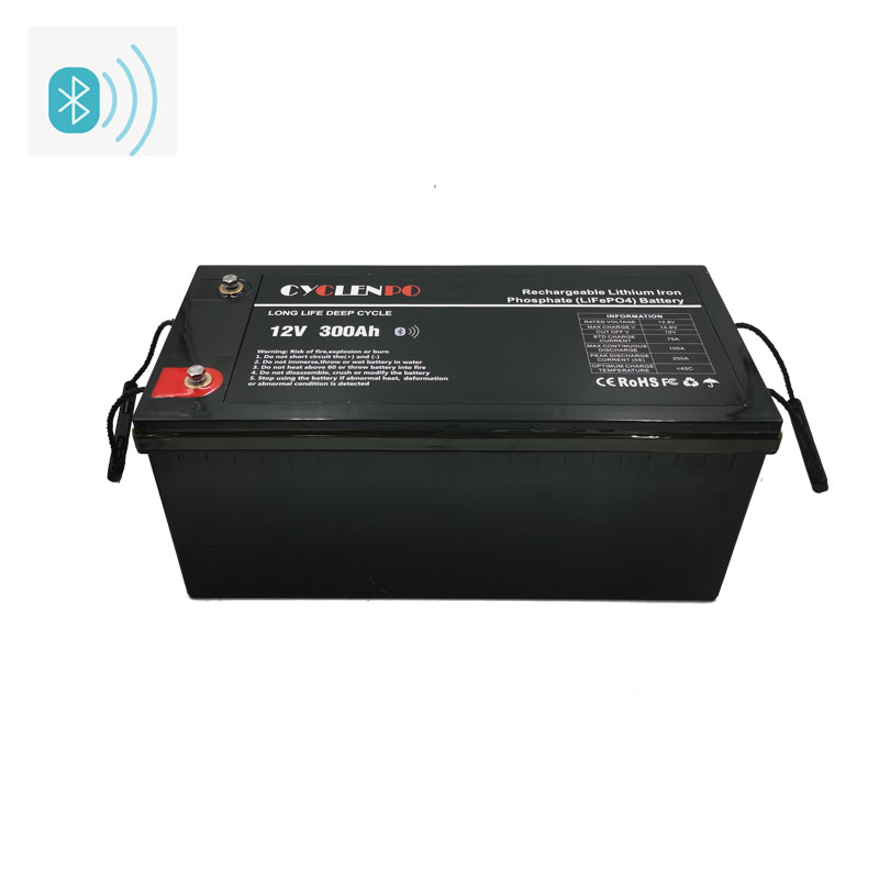 Pacco batteria agli ioni di litio LiFePO4 12V 300Ah con Bluetooth e BMS