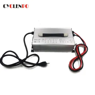 Quick LiFePO4 Marine Battery Charger 12V 50A
