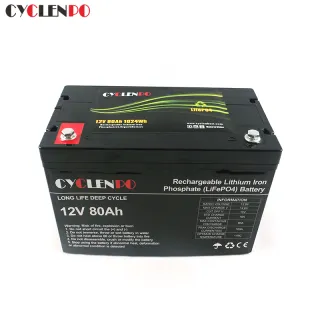 Factory Price 12V 80Ah Lithium LifePO4 Battery For EVs