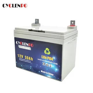 Maintenance Free 12V 30Ah Lifepo4 Battery For Electric Scooters Solar Street Light  