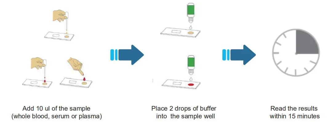 SARS-CoV-2 IgG/IgM RAPID TEST