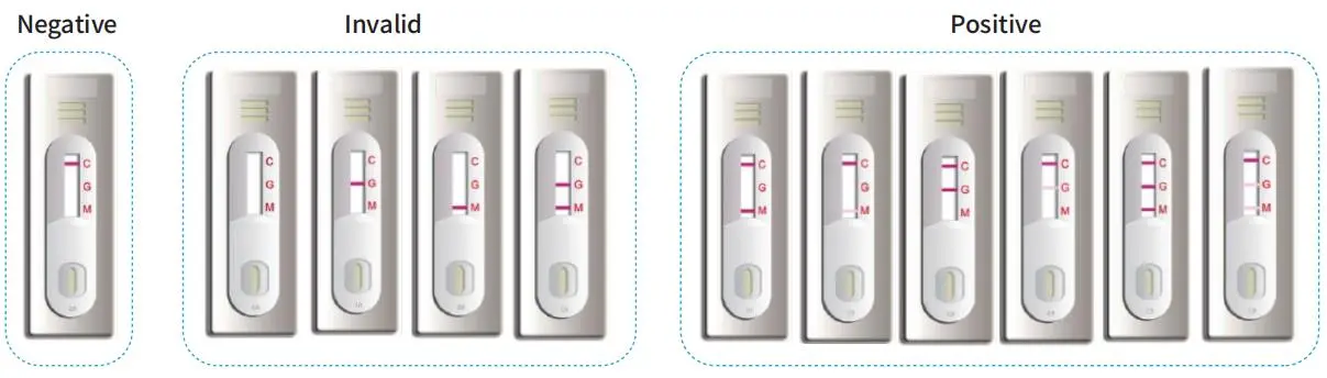 SARS-CoV-2 IgG/IgM RAPID TEST