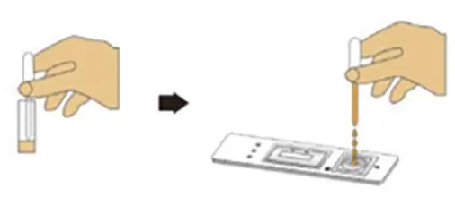 SARS-CoV-2 ANTIGEN RAPID DETECTION KIT