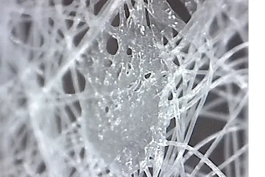 spunbond non-woven fabric under microscope