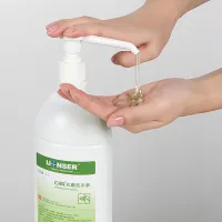 Lionser Antibacterial Hand Sanitizer Gel - Free Alcohol ( 17 Fl Oz/500ml)