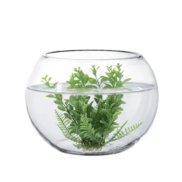 lown Clear Large Round Glass Bowls Glass Bubbles for Aquarium Fish, Succulents, flowers Decoration