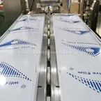Автоматическая машина для упаковки спирта в салфетки GF-450A