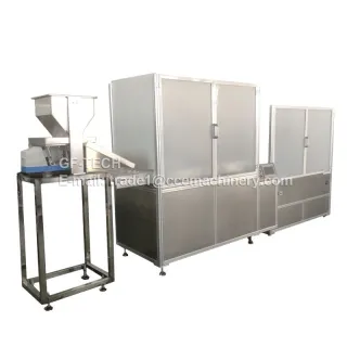 Model TF-80 Automatic Effervescent Tablet Tube Filling & Capping Machine